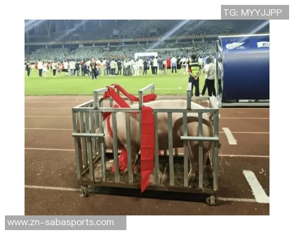 梅州五华县超冠军奖励肥猪寓意财富满满引发热议 梅州五华县超冠军奖励肥猪寓意财富满满引发热议