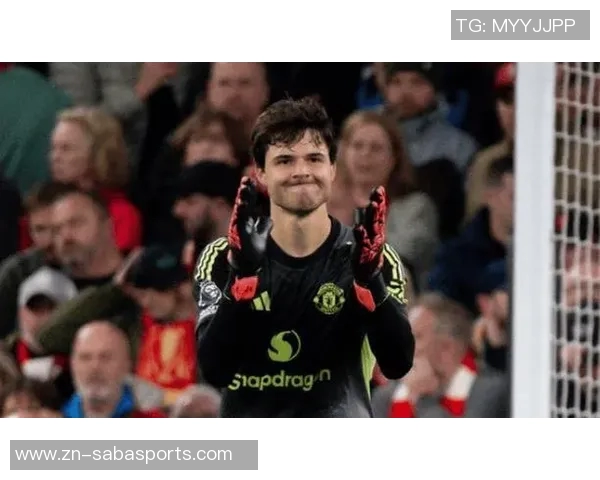 费迪南德称赞拉门斯门将表现提升后防稳定性球队受益明显 费迪南德称赞拉门斯门将表现提升后防稳定性球队受益明显